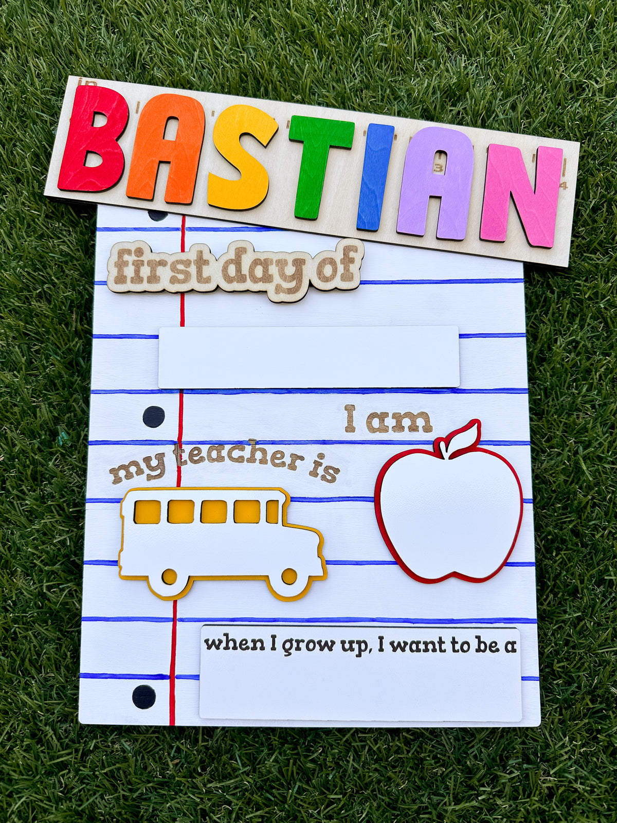 Custom School Boards